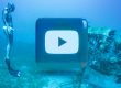 Die besten Freediving Videos - Ocean Karma Freediving