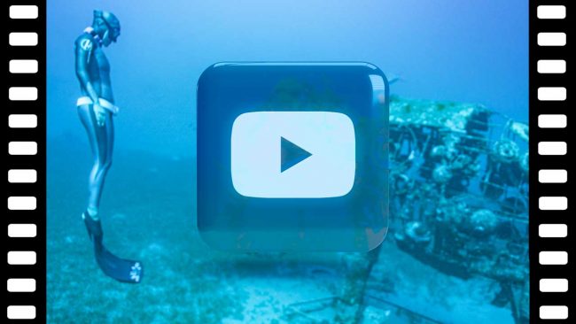 Die besten Freediving Videos - Ocean Karma Freediving