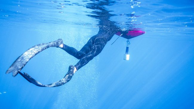 Freediving Flossen - Ocean Karma Freediving