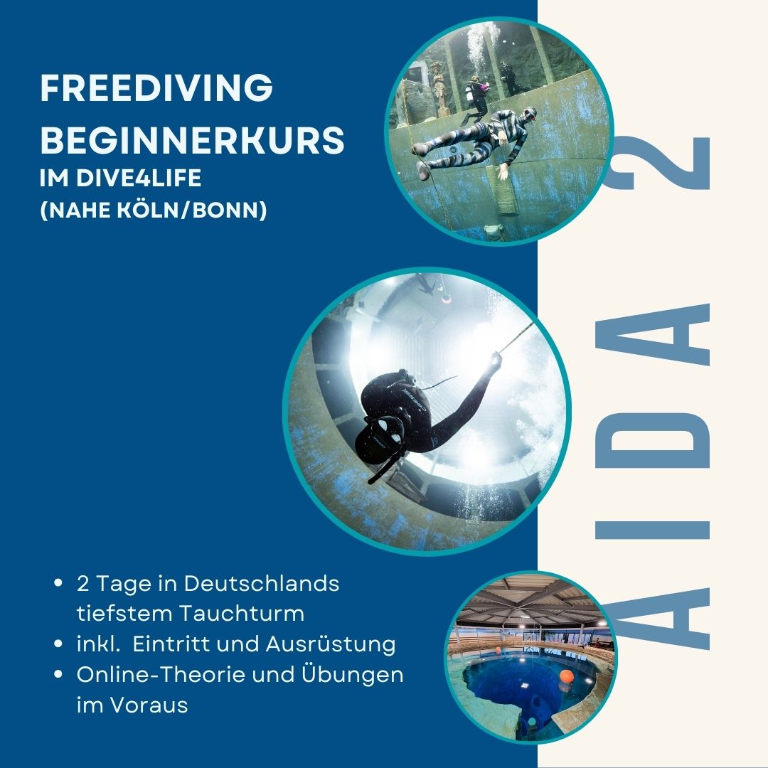 AIDA 2 Freedivingkurs für Beginner im Dive4LIfe