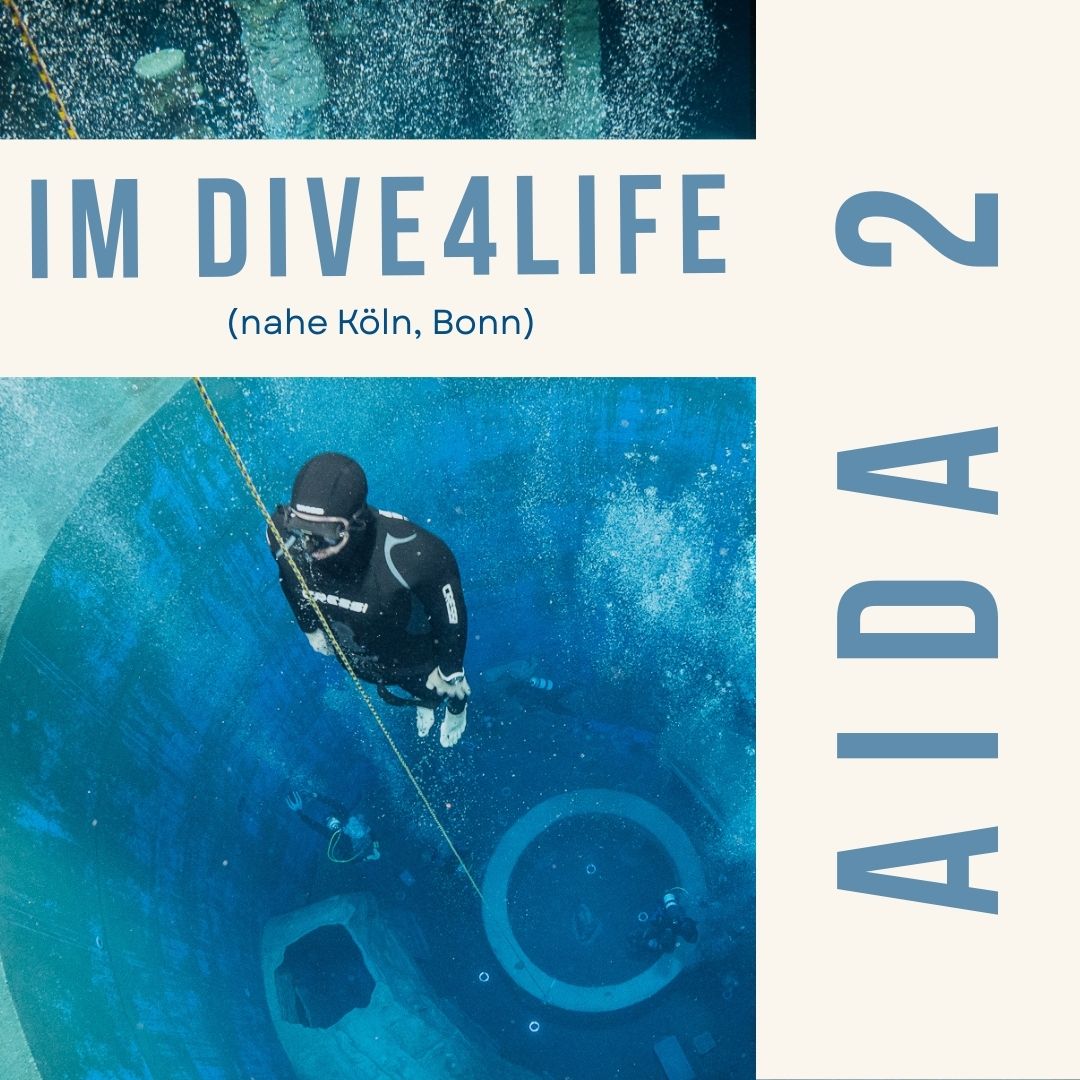 AIDA 2 Freedivingkurs im Dive4LIfe