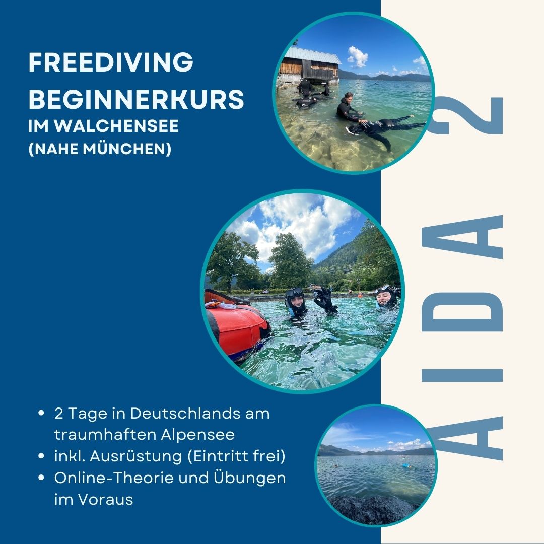 AIDA 2 Beginnerkurs Freediing im Walchensee