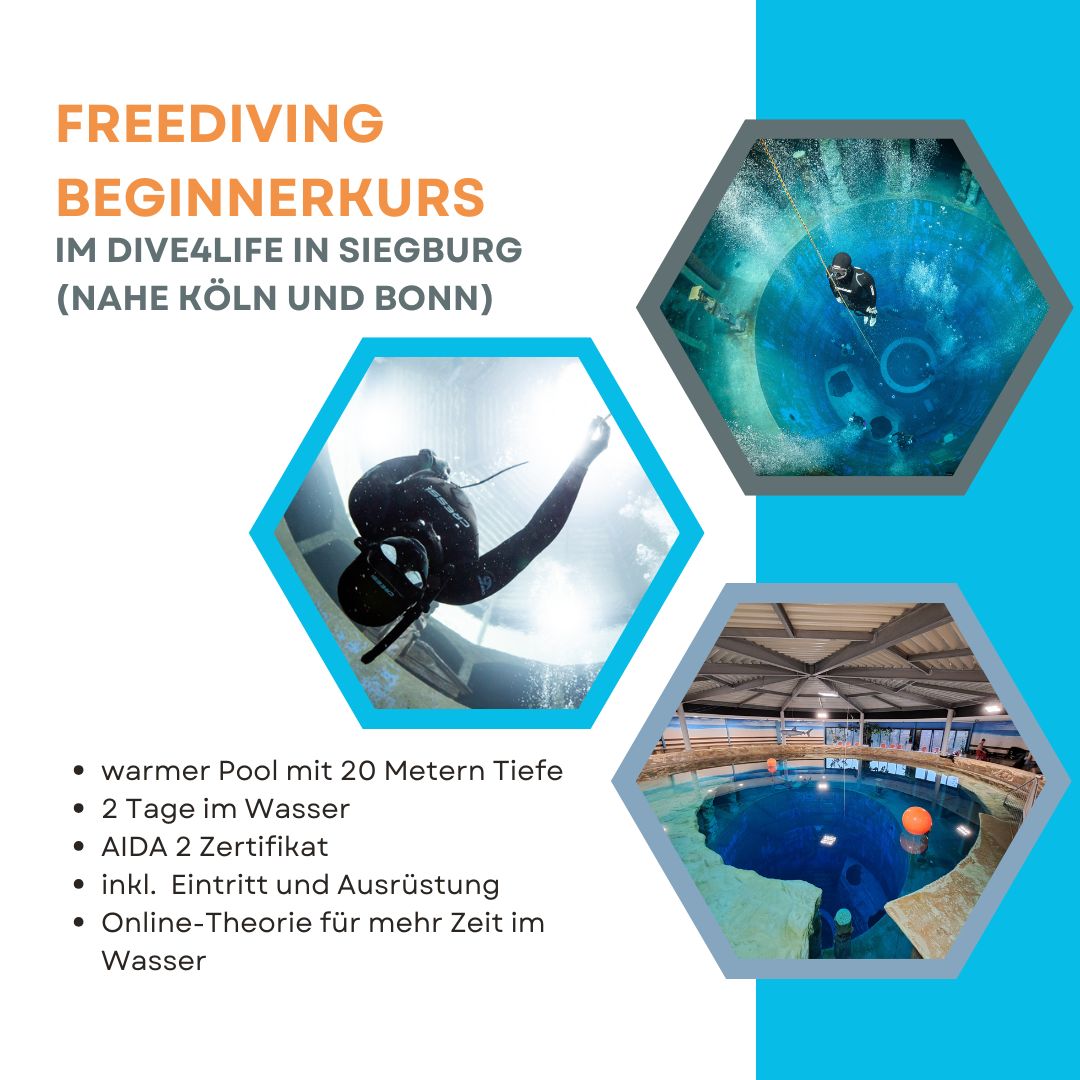 AIDA 2 Freediving Beginnerkurs bei Köln