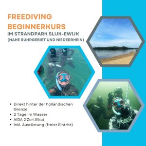 AIDA 2 Beginnerkurs am Niederrhein und Ruhrgebiet