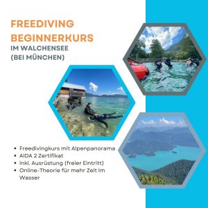 AIDA 2 Freediving Beginnerkurs am Walchensee in Bayern