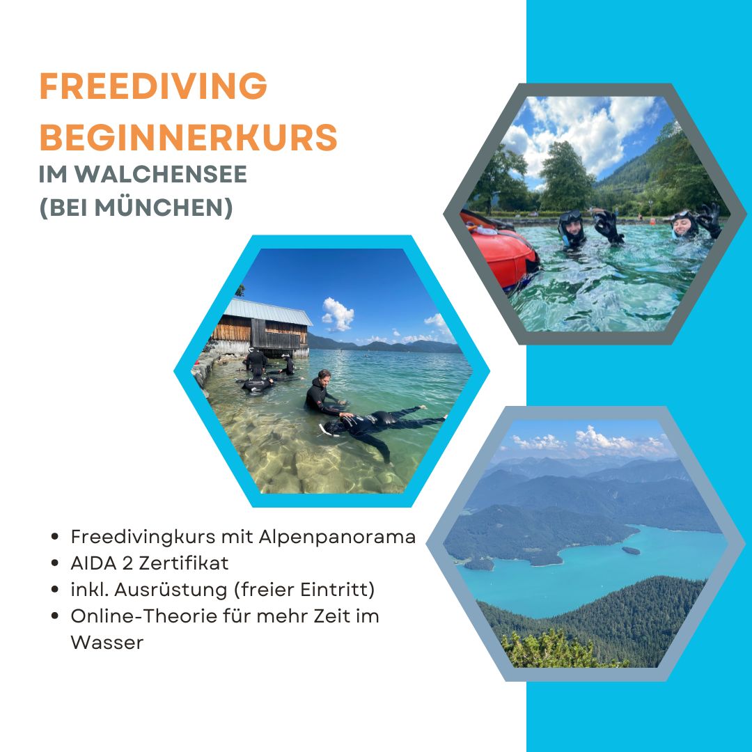 AIDA 2 Freediving Beginnerkurs am Walchensee in Bayern