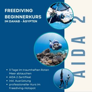 AIDA 2 Freediving-Kurs Dahab