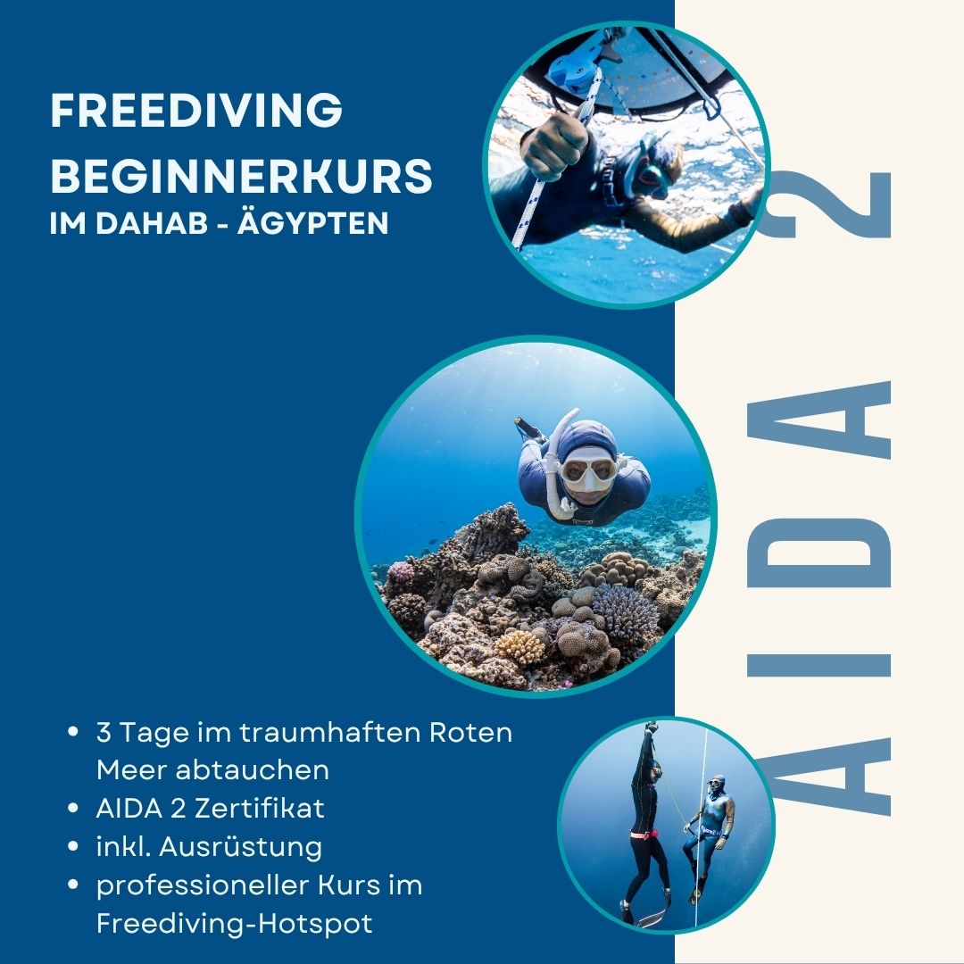 AIDA 2 Freediving-Kurs Dahab