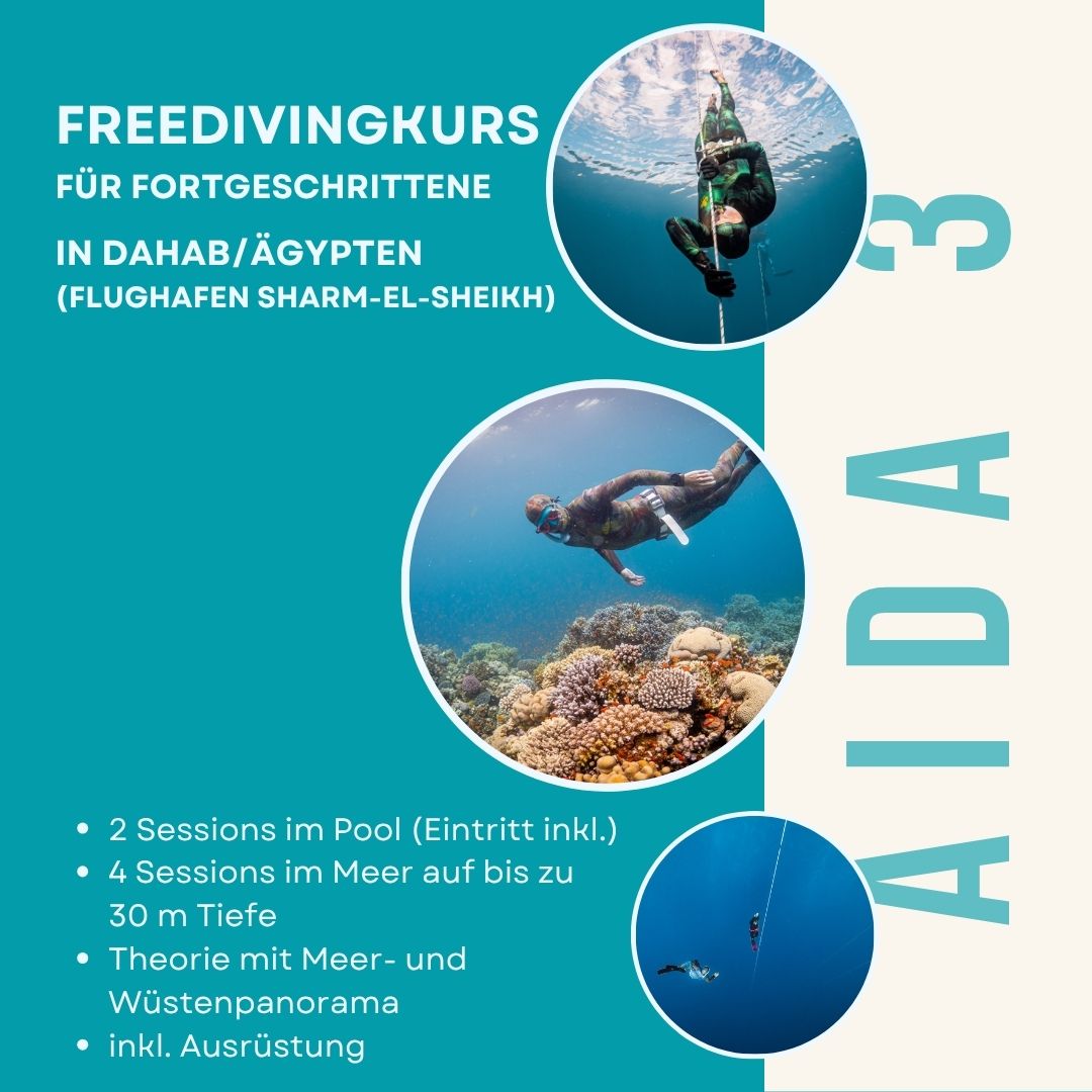 AIDA 3 Kurs in Dahab
