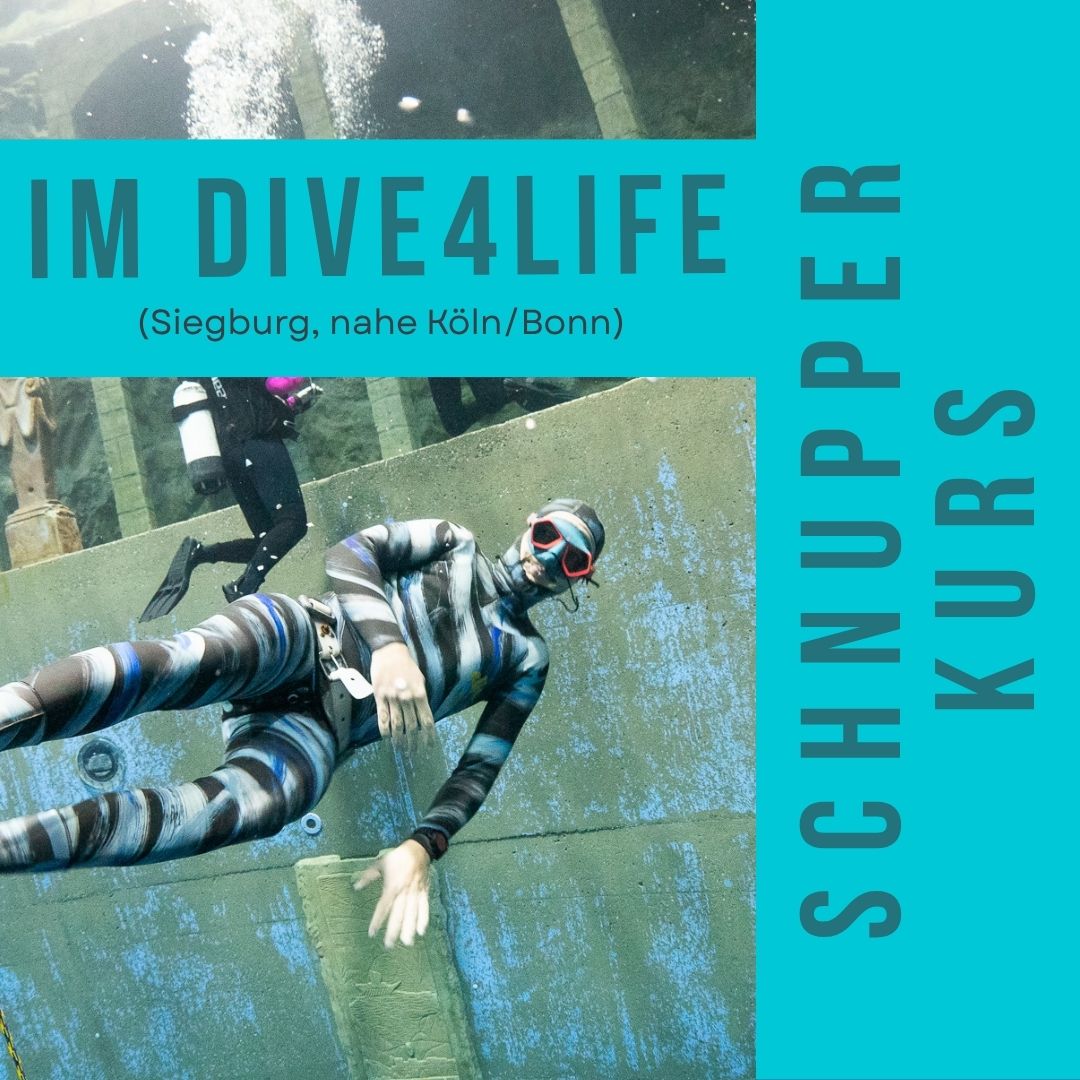 28.12.2026 Schnupperkurs im Dive4Life