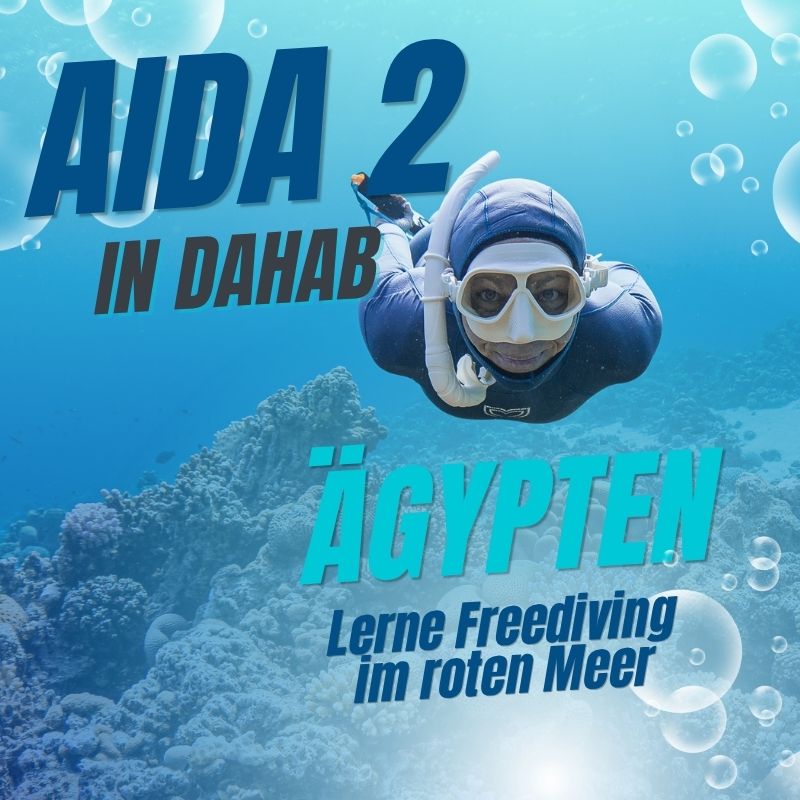 AIDA 2 in Dahab